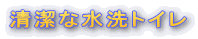 清潔な水洗トイレ